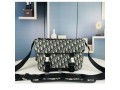 perfecta-replicas-fake-dior-bag-affordable-elegance-for-you-small-3