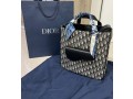 perfecta-replicas-fake-dior-bag-affordable-elegance-for-you-small-1